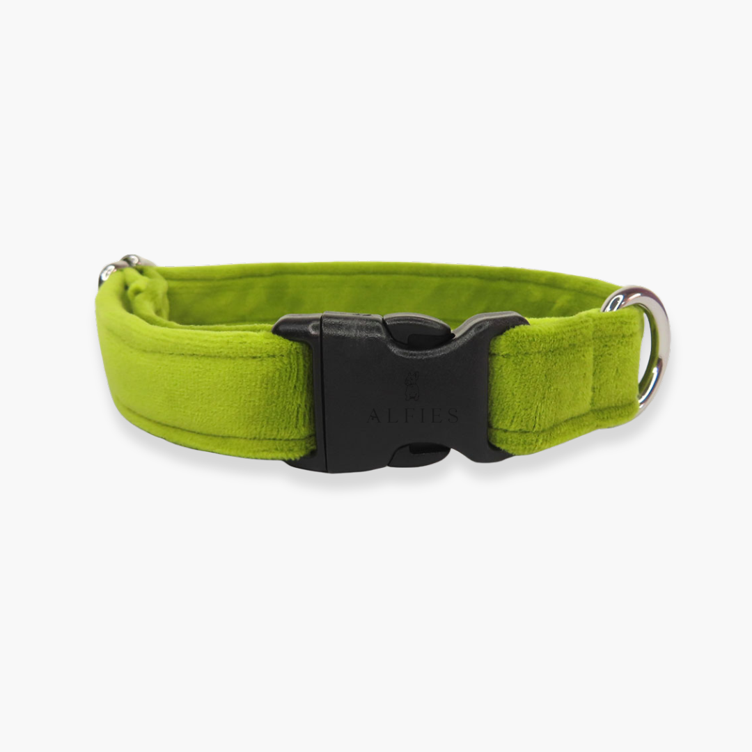 Fynbos Velvet Collar
