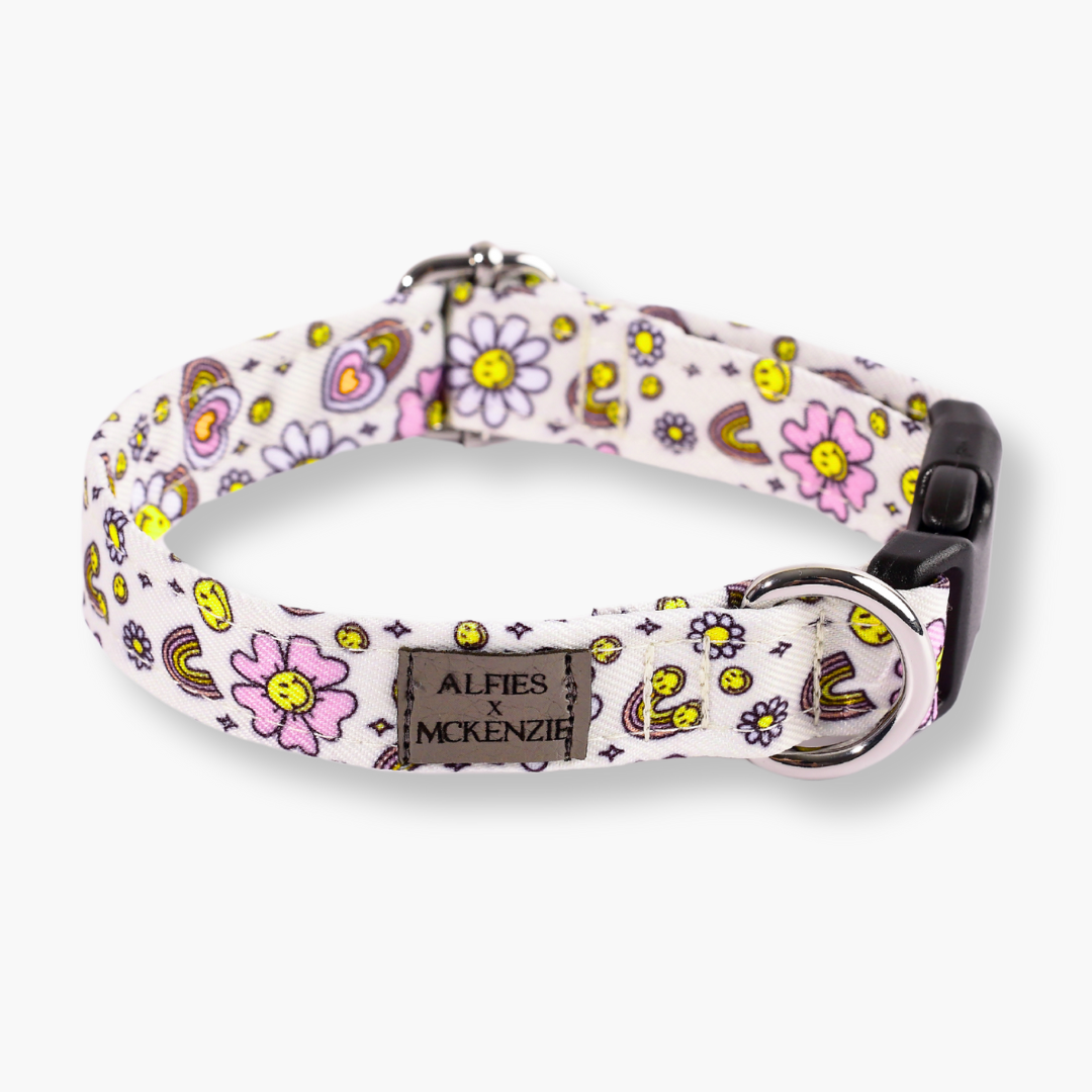 Alfies x McKenzie Collar - Sunshine Parade