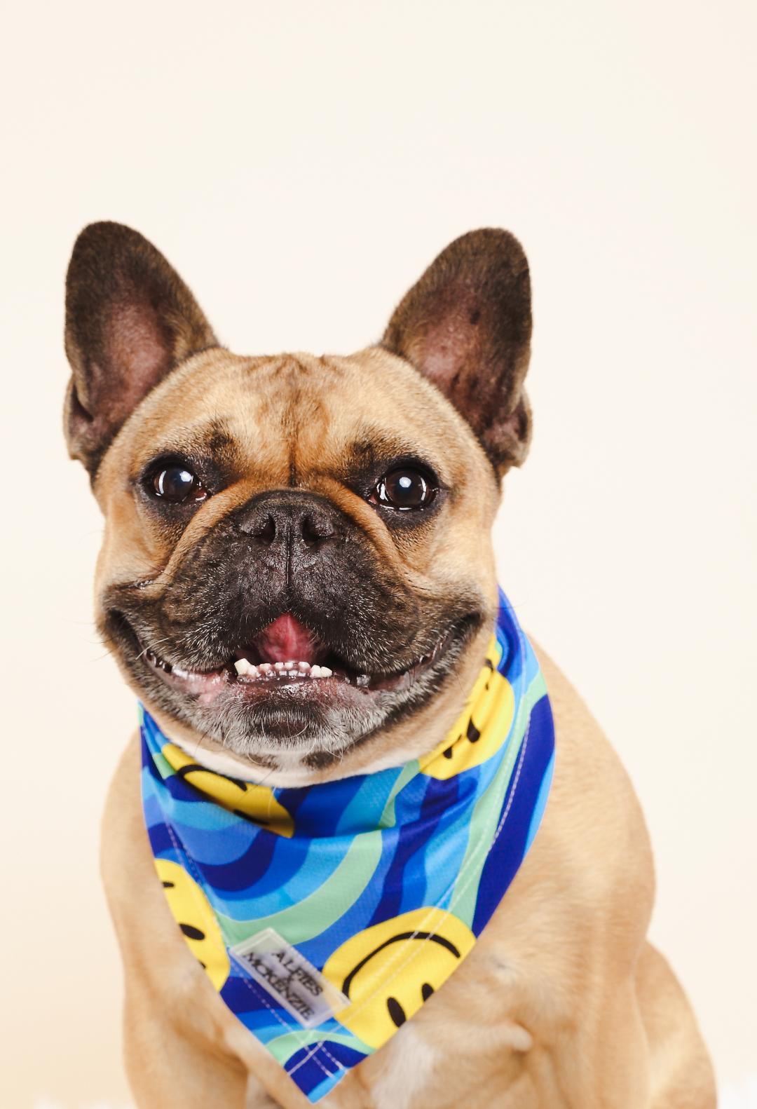 Alfies x McKenzie Breezie™ Cooling Bandana – Beachin Good - Image 2