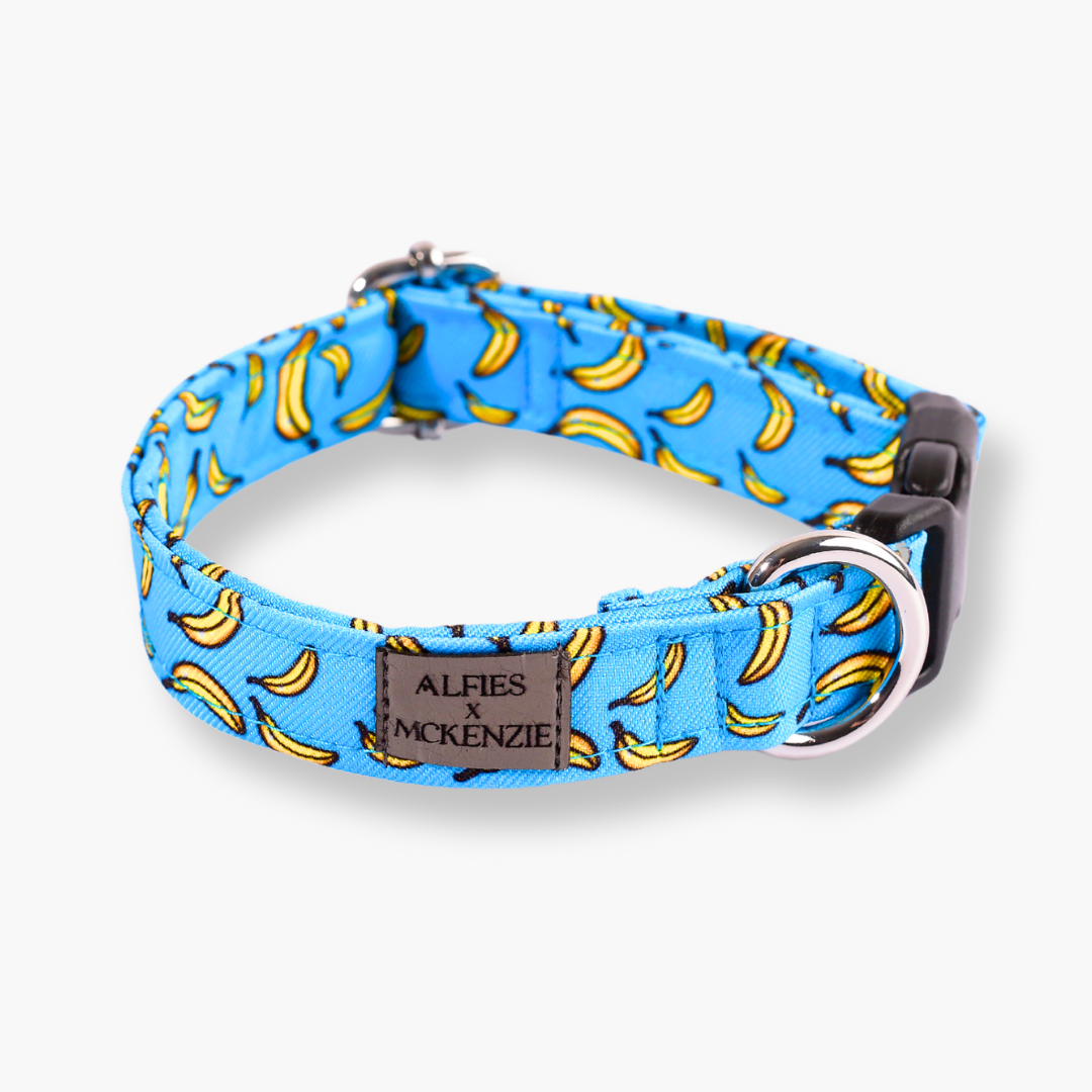 Alfies x McKenzie Collar - Tropical Tails